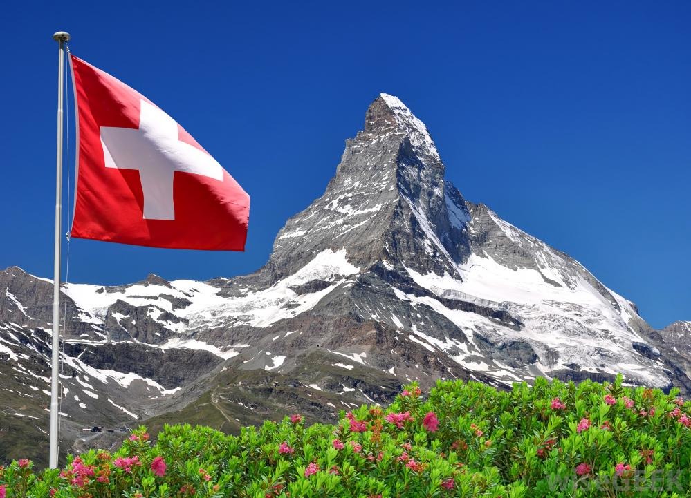 bendera swiss